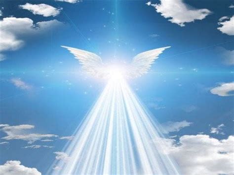 عدد الملائكة حملة العرش المذكورين في القرآن الكريم، هذا ما سيناقشه هذا المقال عبر موقع الخليج برس، حيث أن الملائكة هم أحد تلك الكائنات التي